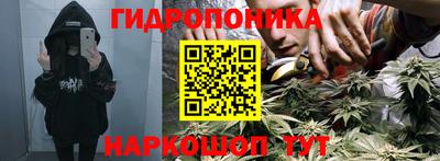 наркотики Новодвинск